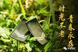 老兵的这14个军旅印记，永难相忘图片
