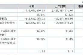 酒类平台1919上半年营收下滑近三成，亏损放大图片