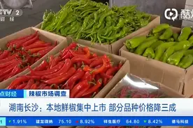 湖南人年均消费辣椒100斤，樟树港辣椒价格最高每斤200元图片