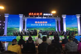 “塞上绿洲”奏响“绿色旋律”2020右玉森林音乐会举行图片