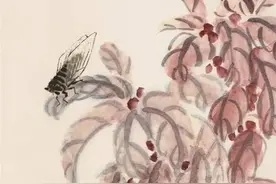 儿时听蝉鸣图片