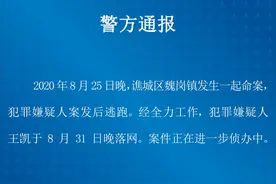 涉重大刑案的16岁少年落网图片