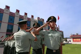 别了，我的橄榄绿图片