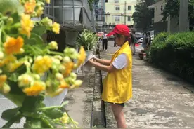 党建引领居民自治 成都白果林社区30多年老旧院落焕发新活力图片