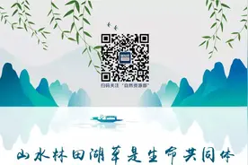 自然资源部办公厅发出通知，建立全国征收农用地区片综合地价数据库图片