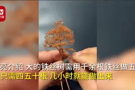 男子用铁丝DIY盆景，网友：成功把铁丝掰成了买不起的样子图片