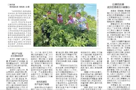 驻村工作5年见证吉祥村蝶变图片