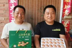 修武农业美学新名片！双胞胎兄弟家的鸡蛋，营养堪比深海鱼油图片