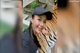 泰国动物园女游客抓老虎私处拍照被指羞辱老虎图片
