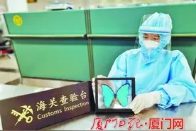 携带蝴蝶标本违规进境 一旅客在厦被拦截图片