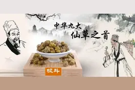 植物界的“仙子”——枫斗图片