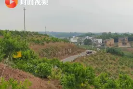 稻渔果有机结合 四川隆昌让外省客人意想不到视频封面