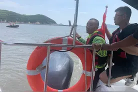 温州新人拍婚纱照被海浪卷走：失联人员为摄影师 目前仍在搜救图片