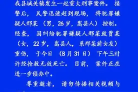 嵩县当街打死前女友男子是当地混混，女孩家属发声：一直反对他们在一起图片