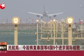 民航局：今起恢复泰国等8国9个进京国际航班视频封面