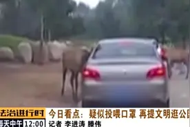 游客给动物喂口罩？北京警方公布调查结果图片