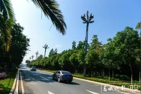 新增“孔雀”华灯、四季鲜花不断……昆明62条道路修得咋样了？图片