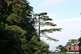 广东省全面铺开国家公园建设图片
