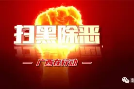 奇珠集团董事长郑琦等31人涉黑案一审宣判，主犯获刑25年！广西扫黑除恶最新战果（11.30）图片