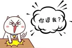 沧州俩农民的宠物狗和大鹅居然会拉车！「晚报直播」图片