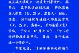 嵩县女子当街遭前男友打死 闺蜜：俩人恋爱近8年 期间被多次殴打 逃走未果图片
