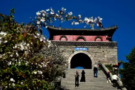 半月谈｜泰安：这样大安图片