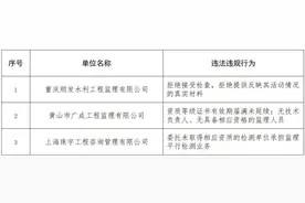 水利部对3家企业违法违规行为进行通报批评图片