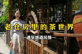 “苏式仓房”里的茶世界视频封面