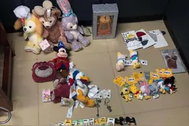 情侣在上海迪士尼盗窃纪念品成网逃 多次作案，涉案价值近万元图片