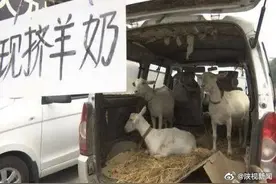 西安喝羊奶得布病幼儿已转院治疗，发病期间出现无热惊厥图片