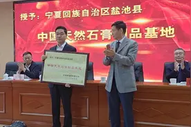 8亿吨探明储量，30亿吨远景储量！看宁夏盐池如何打造中国一流石膏产业基地图片