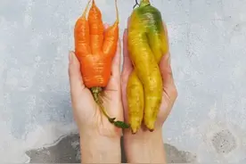 三年节约100多万吨食物！丹麦这招儿时髦又省钱图片