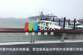 盐田海滨栈道海鲜街段完工 19.5公里海滨栈道贯通图片