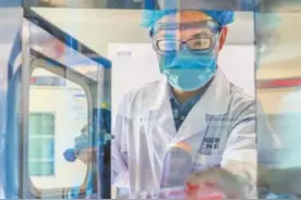 世卫组织：全球已有9种新冠疫苗正进行三期临床试验图片