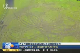男子开越野车随意碾压呼伦贝尔草原被处罚：罚款1990.4元  种植牧草恢复植被视频封面