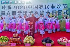 第六届孟津梨采摘节开幕图片