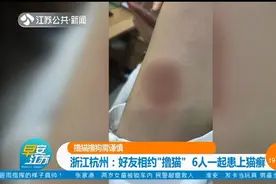 好友相约“撸猫”，结果“中招”了，6人一起患上猫癣视频封面