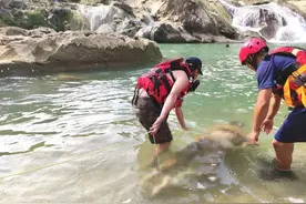 又一“网红”打卡地出事！前来游玩的19岁男孩滑入深水潭 两天后才被打捞上来……图片