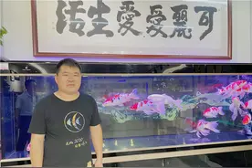 “养鱼世家”出身，鱼缸销售老板趁疫情逆袭中高端图片