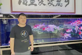 “养鱼世家”出身，鱼缸销售老板趁疫情逆袭中高端图片