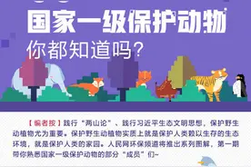 介绍一下：这几位是国家一级保护动物图片
