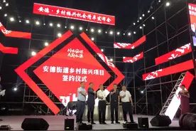 总投资超过300亿元 成都郫都安德街道发布乡村振兴机会清单图片