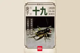 农历中国 | 七月十九 · 斗蟋蟀图片