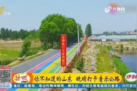 神奇！枣庄这条公路会唱歌，开车保持时速40公里，会有惊喜发生