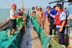 太湖大网捕鱼开启 下个月起太湖将实行为期10年的退捕禁捕图片
