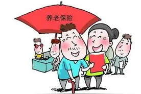 缴费申报开始了图片