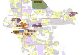 养犬不能任性！佛山五区烈性犬禁养具体范围公布图片