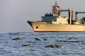 海豚伴航中国军舰，亚丁湾上的这一幕，太美啦图片
