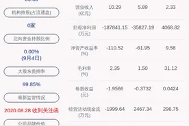 天海防务：近期公司股票暴涨，深交所发出关注函图片