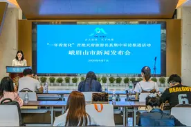 景、城一体建管新突破，体制保障天下名山优质发展图片